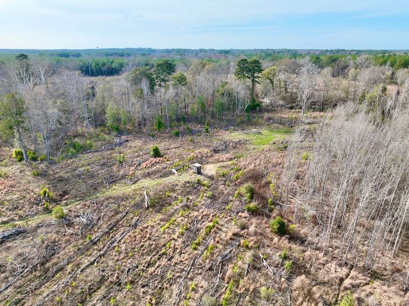 4462C117-2E2F-457F-B54F-41B110B69651_1_201_a