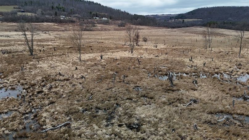 DJI_20260312143922_0022_D