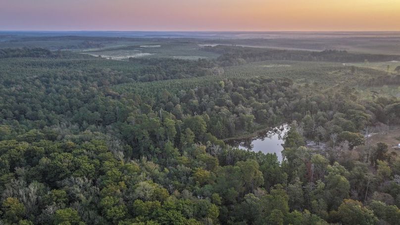 DJI_20250918071046_0036_D