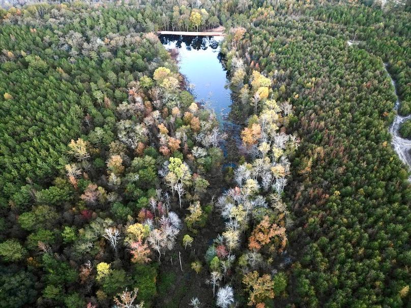 dji_fly_20251103_174134_428_1762260623336_photo