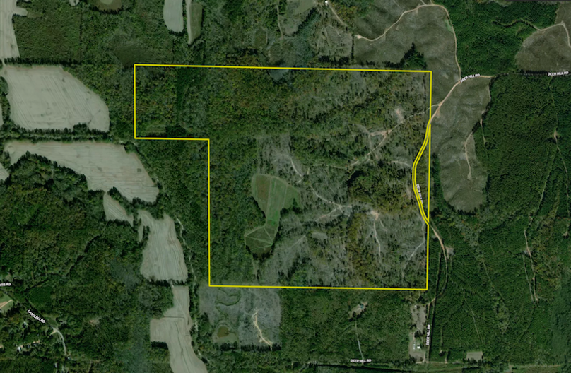 Screenshot 2025-07-24 at 4.55.15 PM