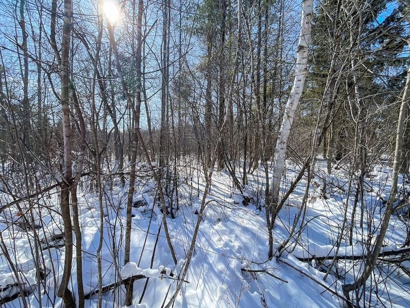 Portage 13.596, Van Asten-18