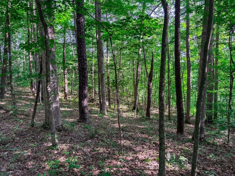 Ritchie, WV 20 AC Thompson-10