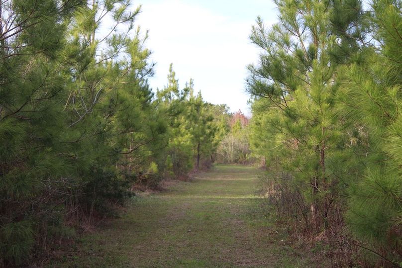 B53E0F6E-91BC-42B1-80D0-6ABEA973B8C6_1_105_c