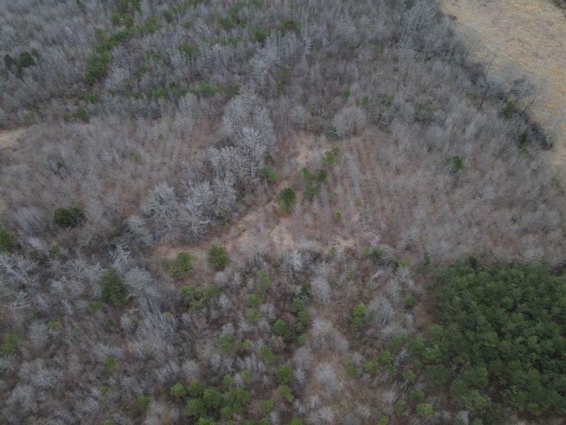 DJI_0040