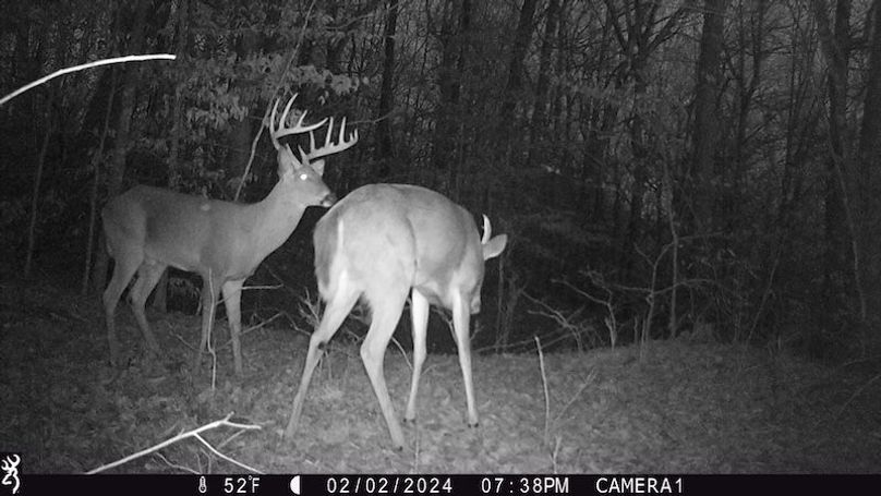 trail cam24