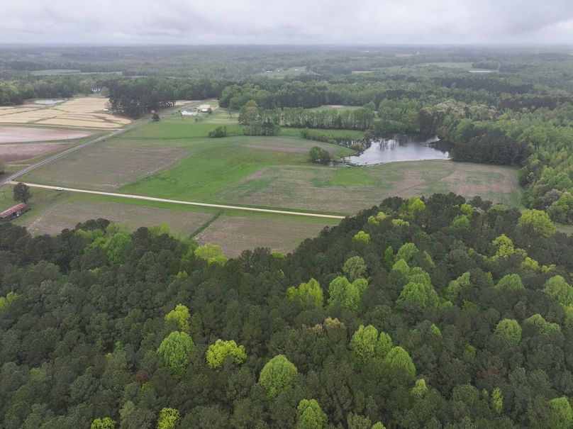 DJI_20250411111359_0036_D