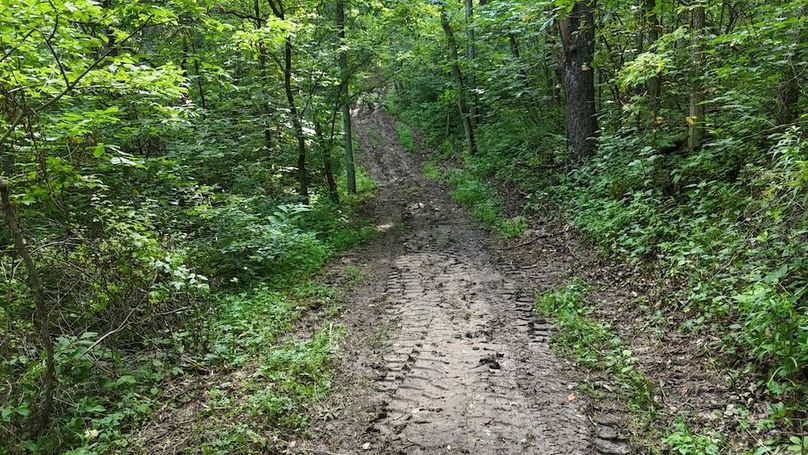 DJI_20250712093841_0760_D