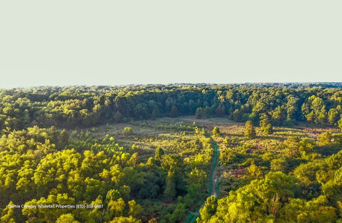 DeSoto 109 Prewett -3