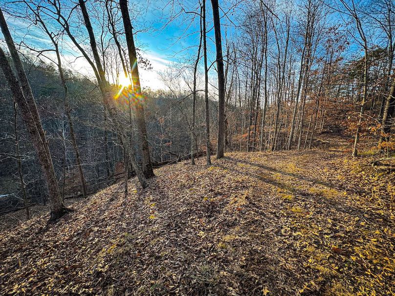 Jackson, WV 118.94 AC Shafer-087