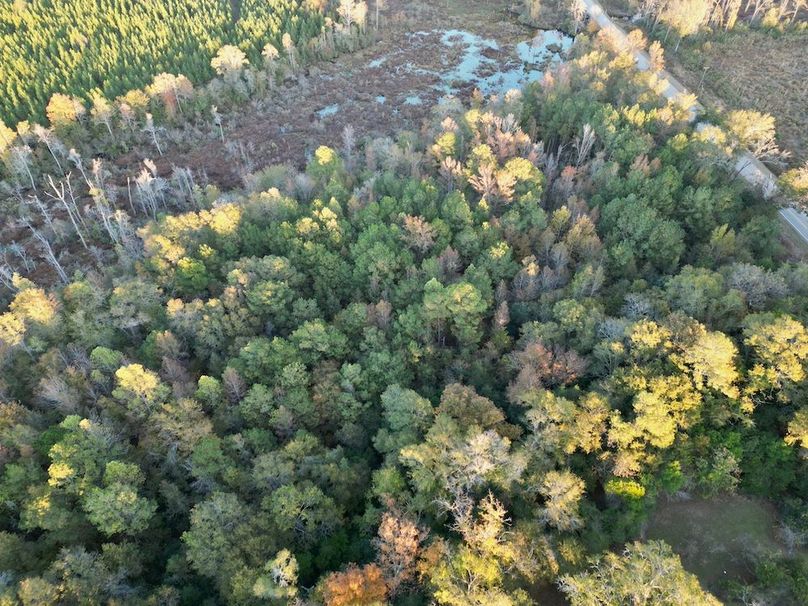 dji_fly_20251103_172140_383_1762260511437_photo