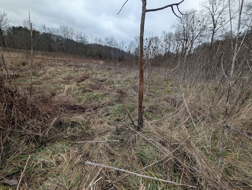 PXL_20260107_184128111