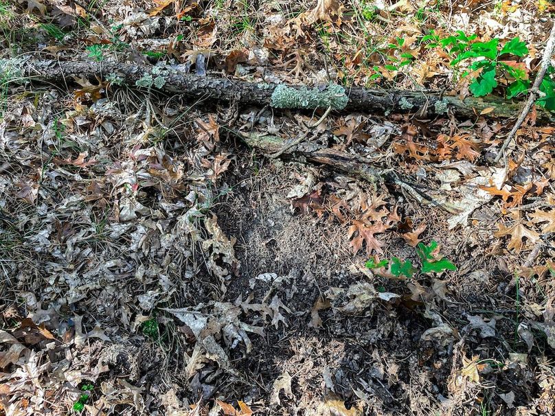 Juneau 27 Wiesner -066