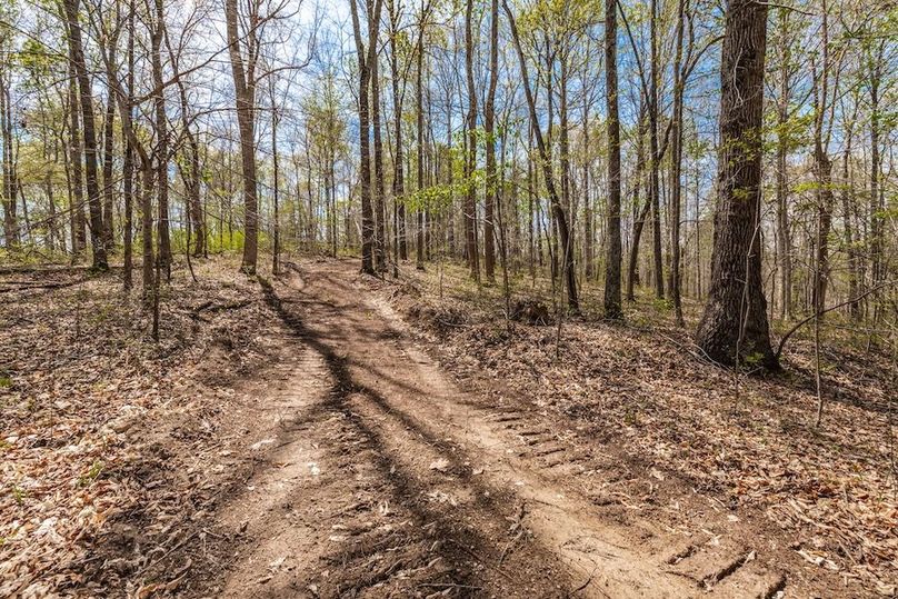 73-web-or-mls-0 Mound Creek Rd-43