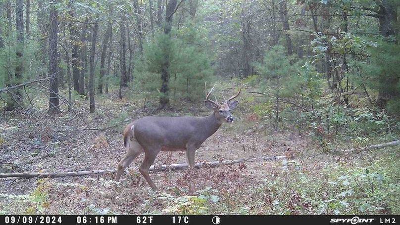 Copy of Trailcam1