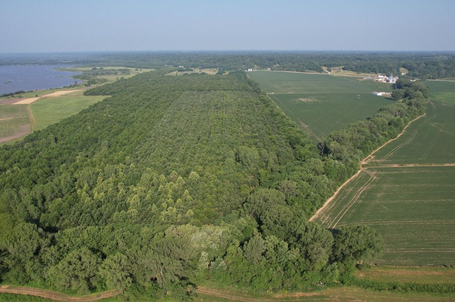 DJI_0025