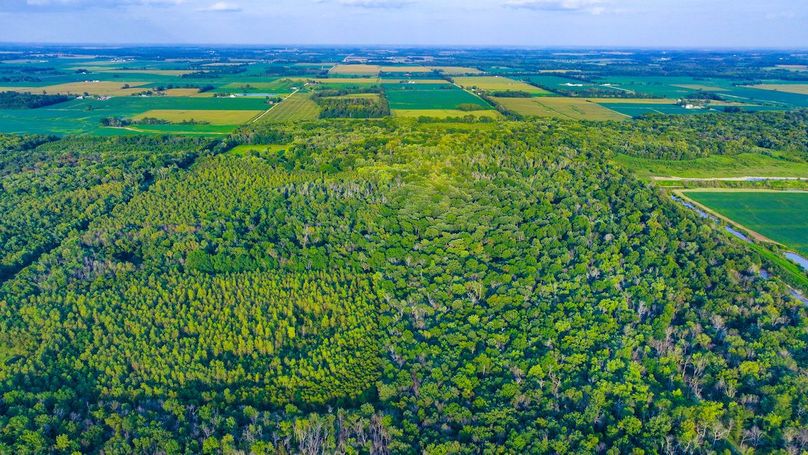 DJI_20240819182744_0140_D