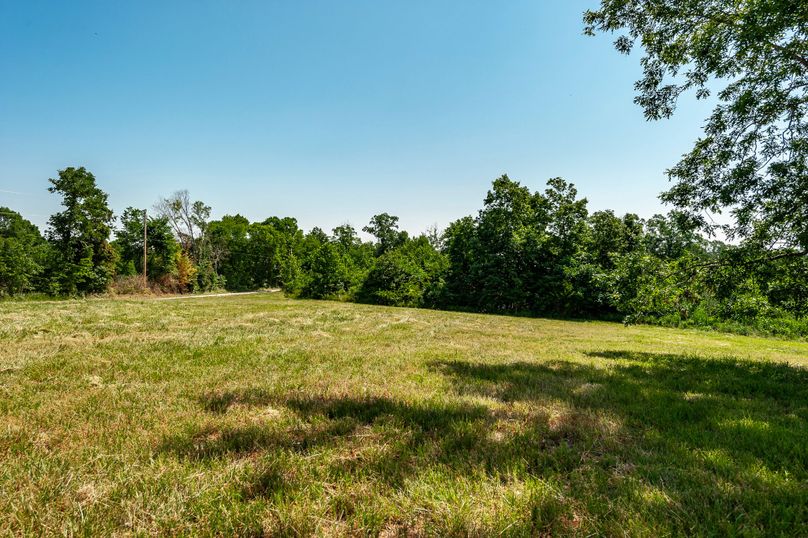 Moore Hollow-53