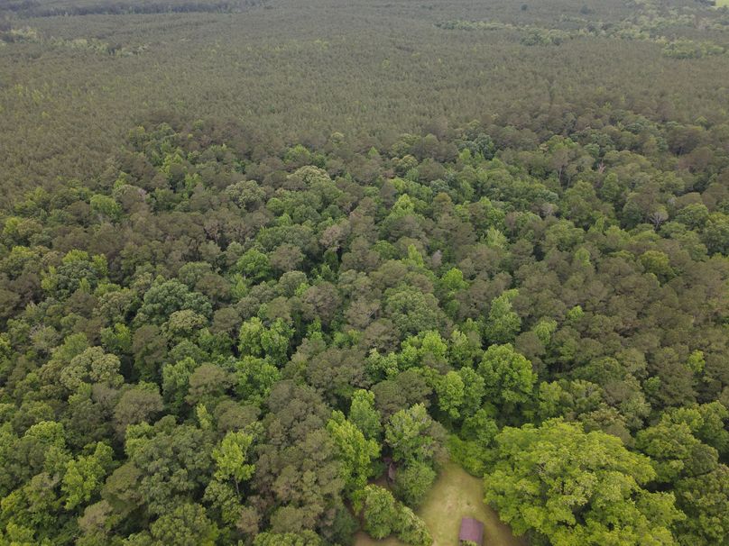 DJI_0831