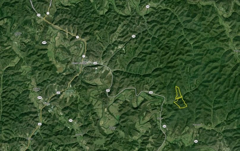 029 Morgan 125 Land ID map zoomed out