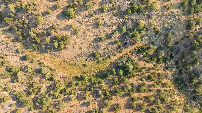 DJI_0644_1