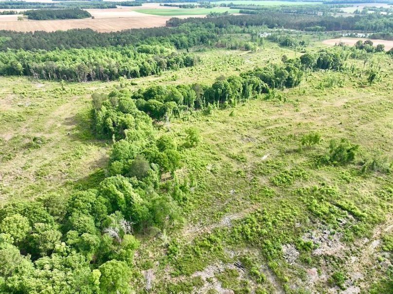 dji_fly_20260427_094612_588_1777299993184_photo