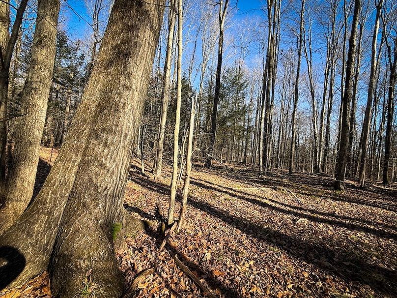 Chemung_31.75_Seymour_North_Photos_14