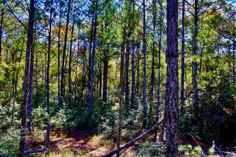 B19FD9E7-B929-4426-BE6C-DEC9DEB2C71D_1_105_c