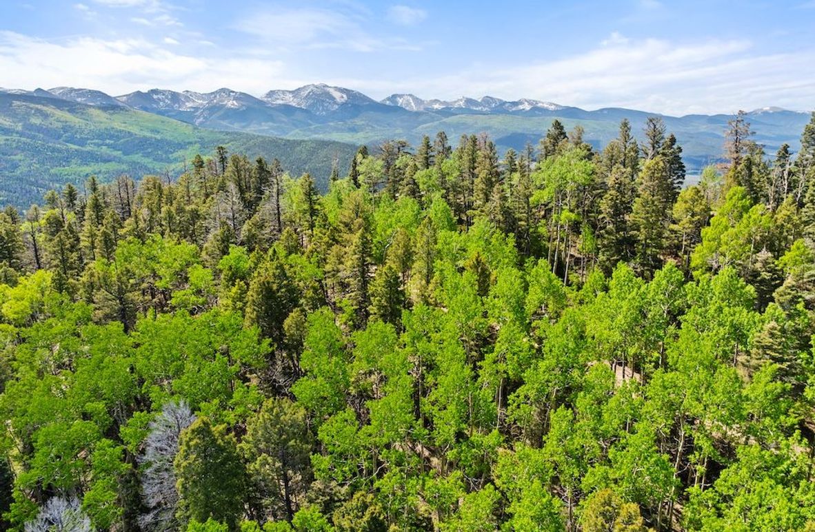 DJI_20250606102311_0089_D