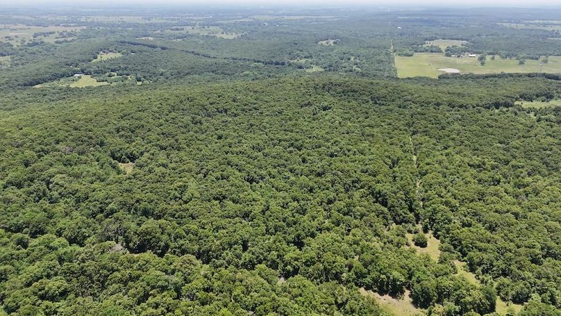 DJI_20240521134902_0011_D