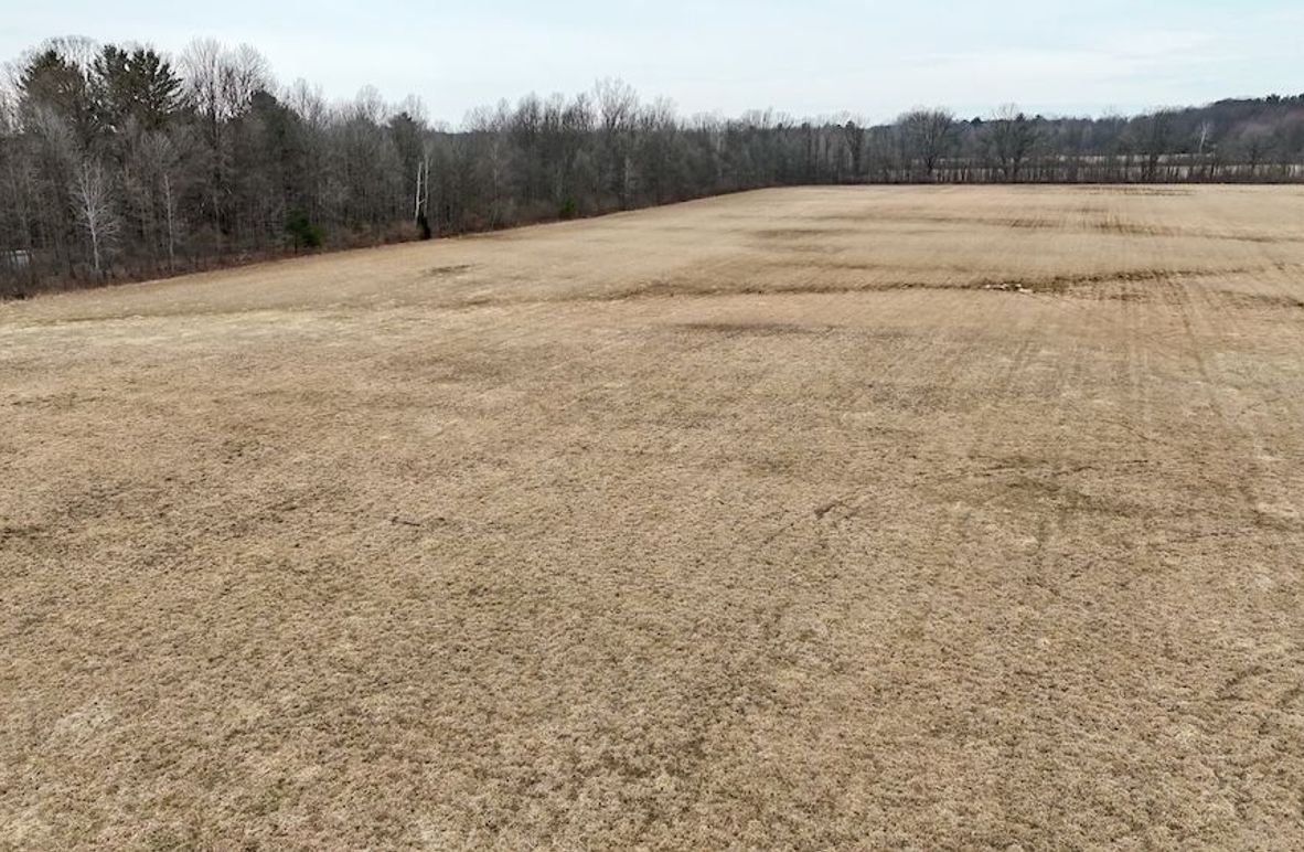 DJI_20260324135043_0315_D (1)