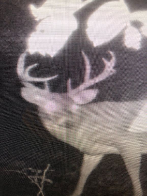 59425417433__13C89740-7D4D-4ECB-8A39-DEB8F19BDC5F