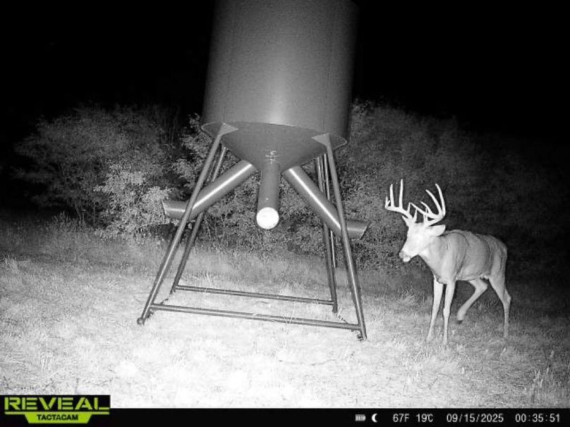 865977050266538-100-3-09152025003550-W1009076