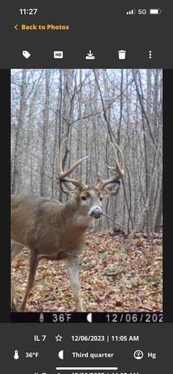 B384DCF5-0A85-4FCD-839B-8A7DBB6CAF1B_4_5005_c