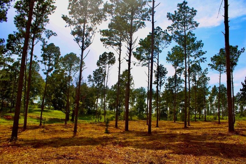 2D32F766-B7DE-472E-8FD7-905D7A953A8B_1_105_c