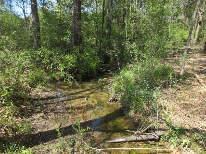 7421FEC1-3796-47C1-AF15-FB0001346721_1_105_c