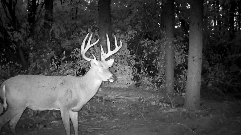 image_processing20250917-8754-3g9gvq