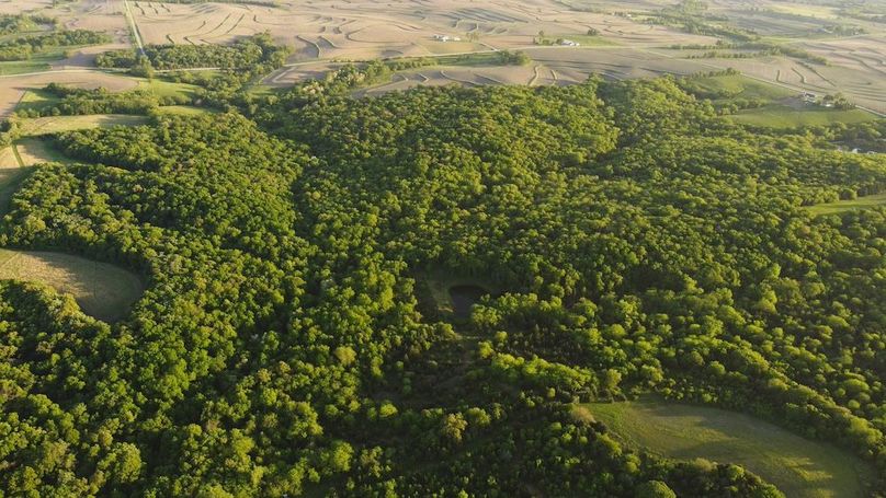 PAGE CO IA 130+_-_69