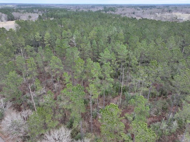 dji_fly_20260217_133238_0123_1771436926064_photo