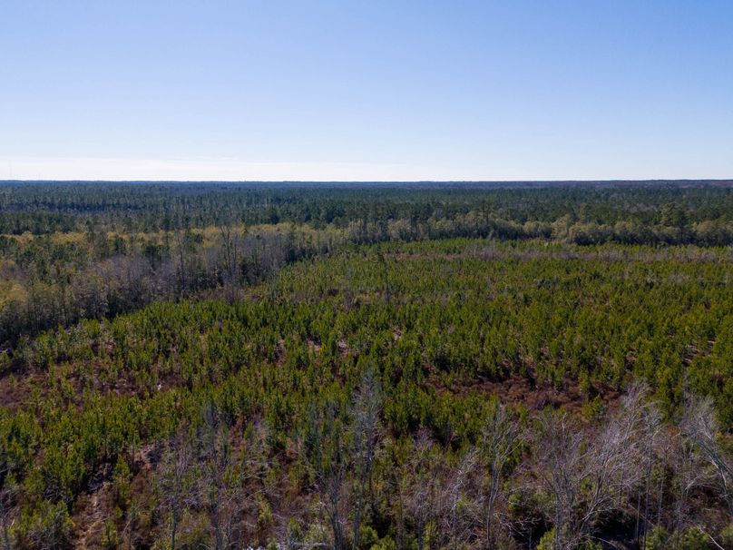 Pender NC 382 - Edits-16