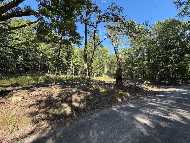 Ontario_33.3_Proseus Photo 43