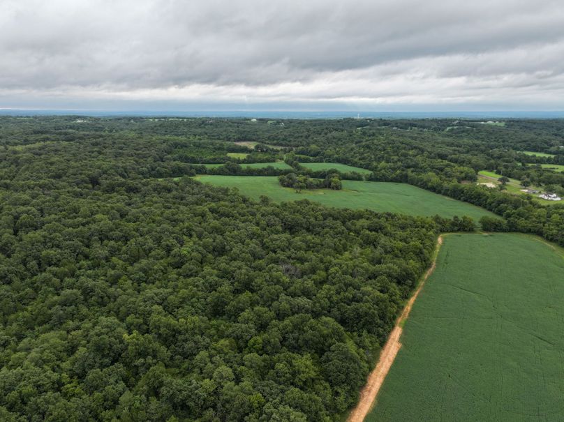 DJI_20230815080404_0007_D