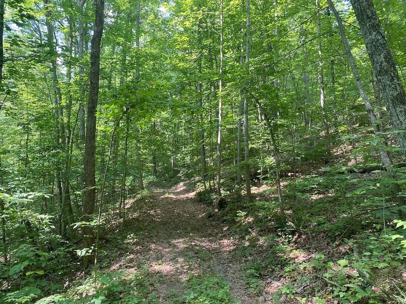 030 one of the well groomed UTV roads leading about the perimeter of the property copy