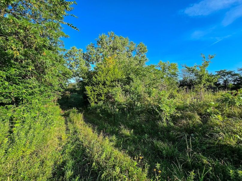 Copy of 20250729_080209