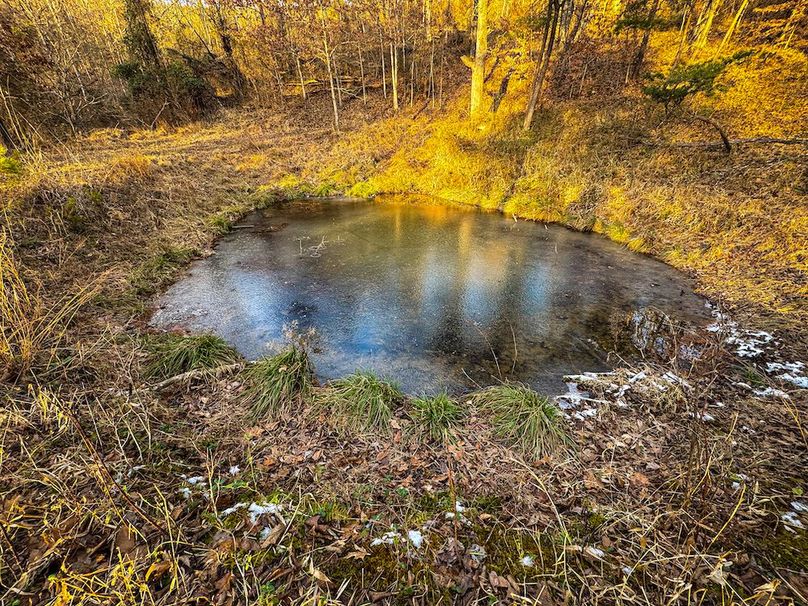 Jackson, WV 118.94 AC Shafer-094