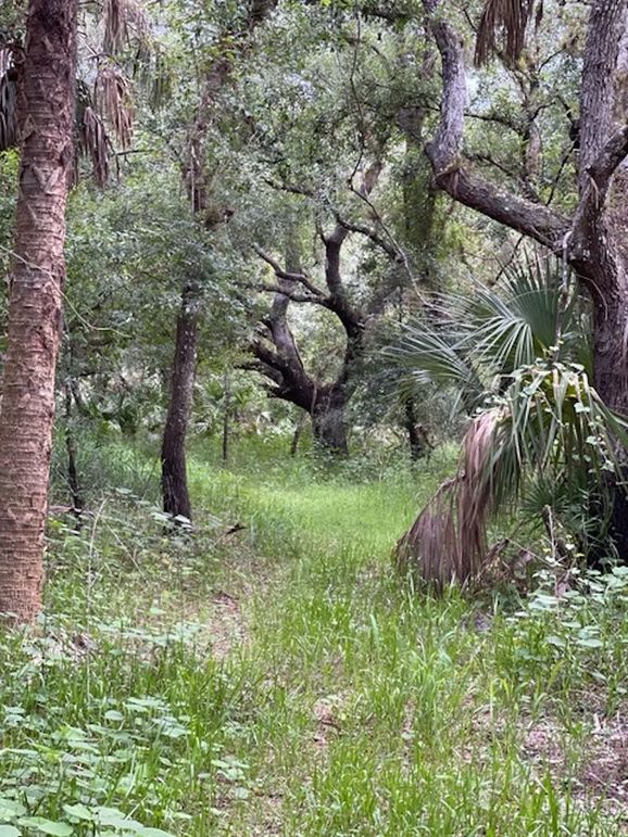 6C1611D7-5780-4071-A0F7-469A004968A2