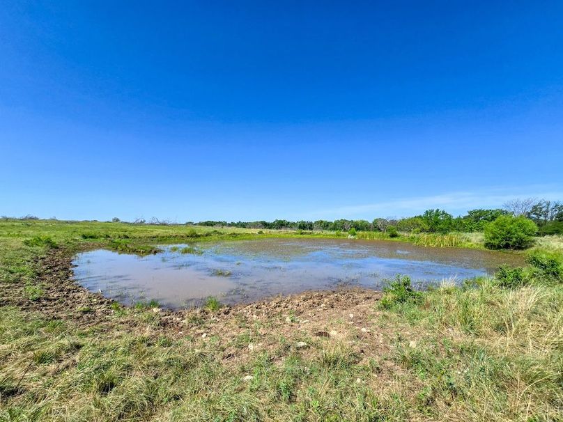 Copy of 20250729_104818