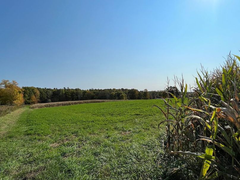 Yates_29_Stape Photo 28