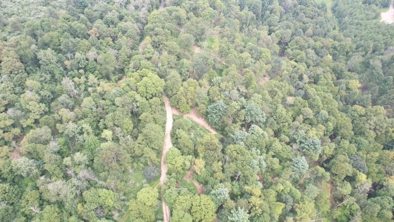 dji_fly_20250806_140854_595_1754530439842_photo