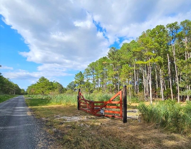 6.39ac_PineTopRd_LOT 1_Dorchester_05